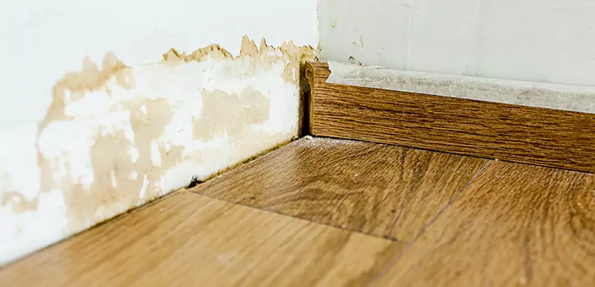 Professional Fix Water Damaged Wood Services in Whitesburg, GA